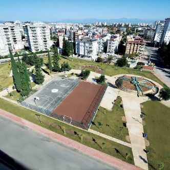 ali pece zeytin park